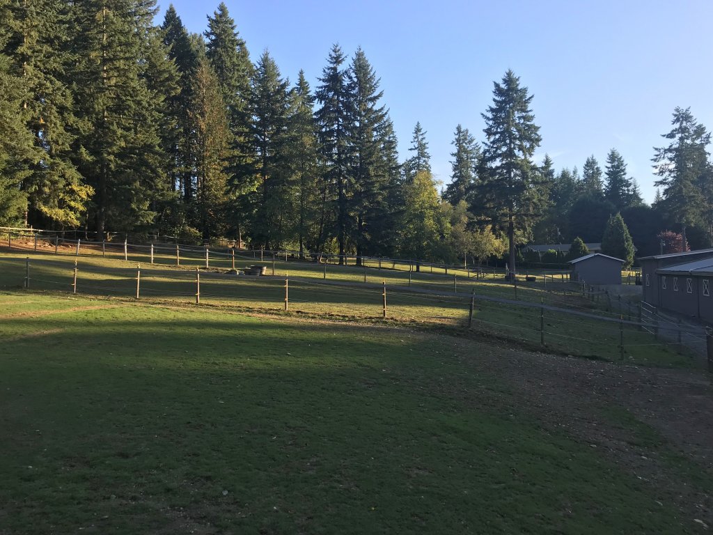 Grass Turnout Pastures Photo