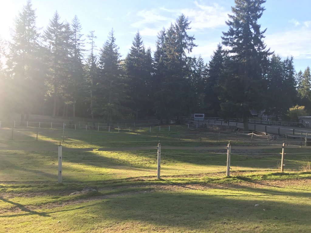 Grass Turnout Pastures Photo